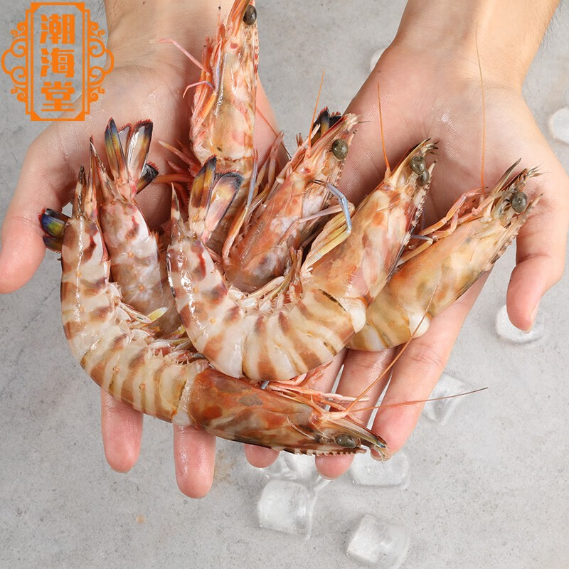 潮海堂 活冻斑节虾九节虾野海捕大虾对虾花虾竹节虾(净重500g/盒)