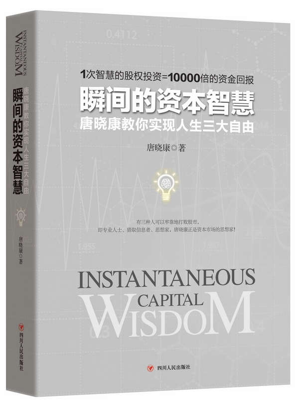瞬间的资本智慧 唐晓康