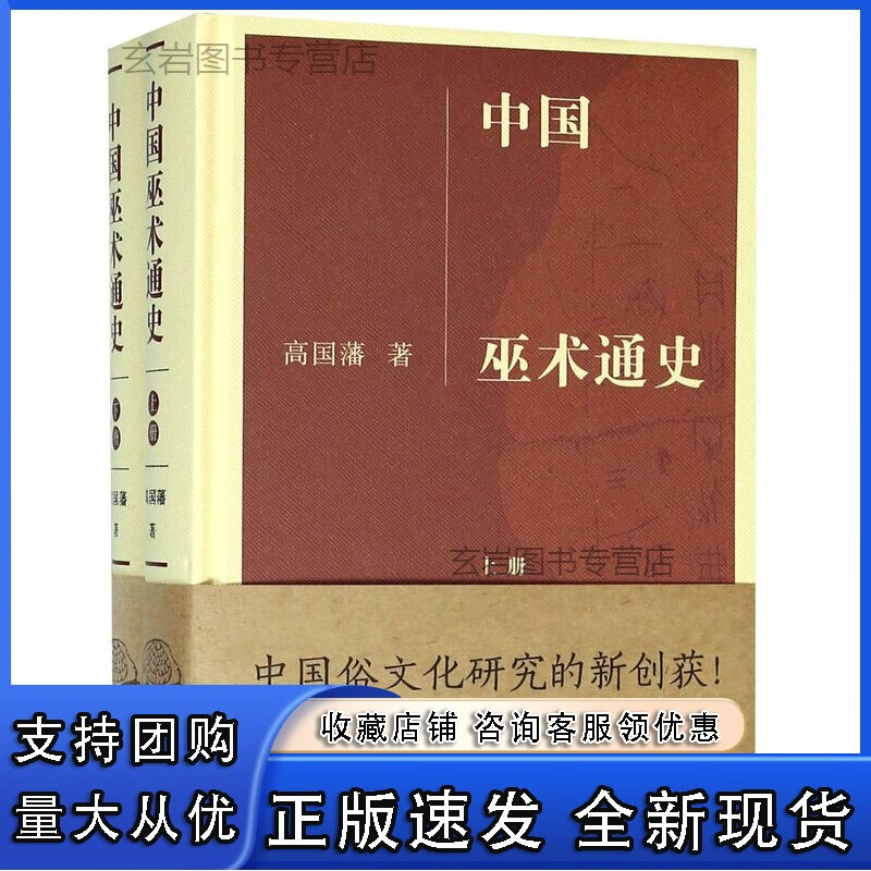 n中国巫术通史(上下)(精)