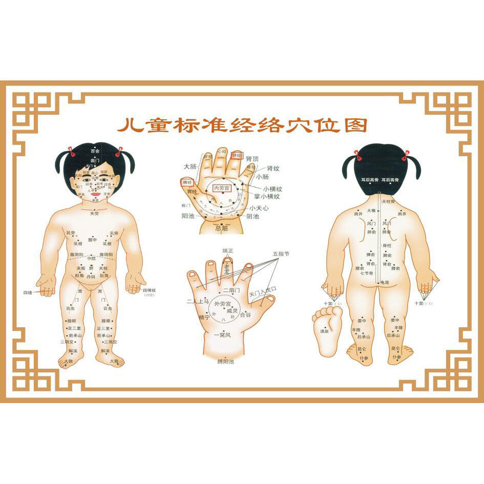 儿童经络穴位图标准人体经络图大挂图中医针灸按摩小儿推拿穴位图