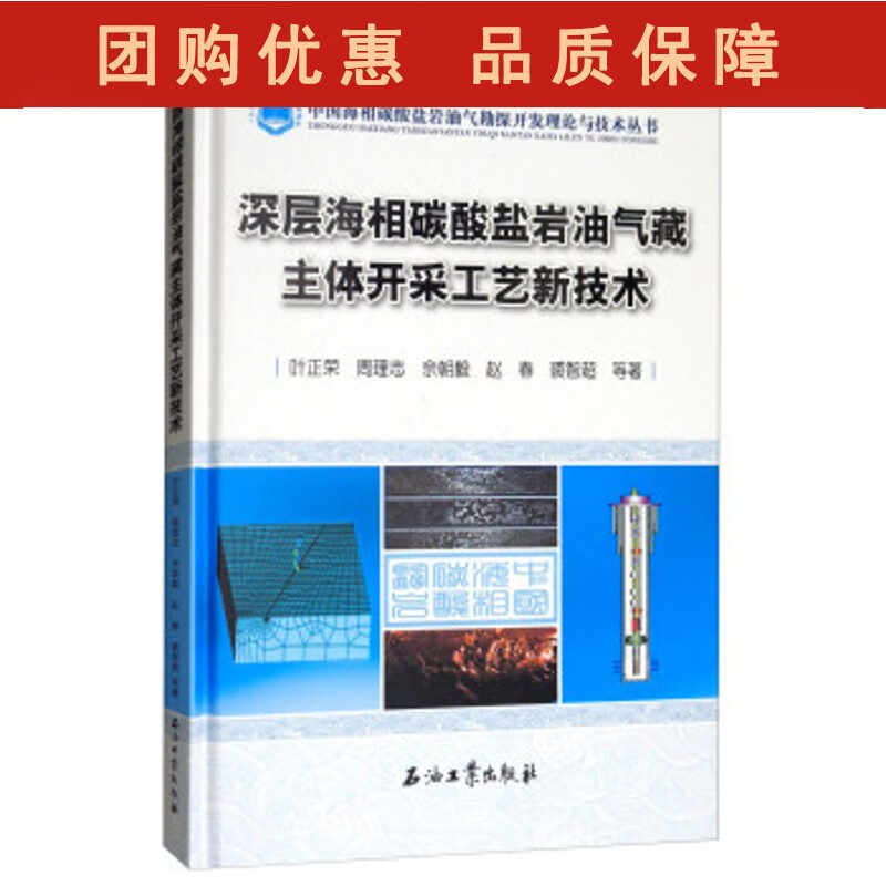 深层海相碳酸盐岩油气藏主体开采工艺新技术 叶正荣,周理志,佘朝毅,赵
