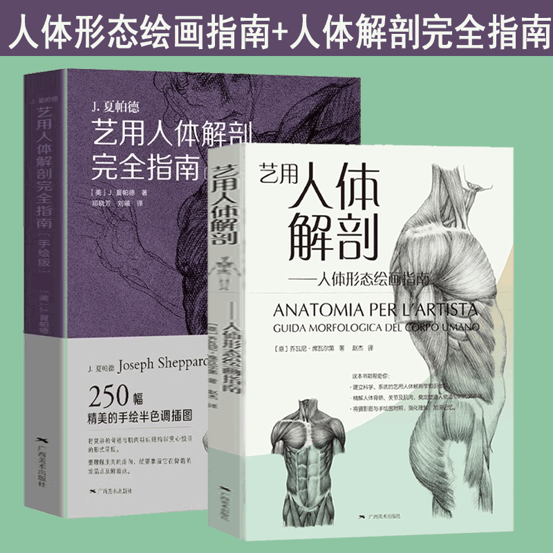 【官方旗舰店】【2册】艺用人体解剖-人体形态绘画指南+艺用人体解剖完全指南(手绘版) 人体解剖