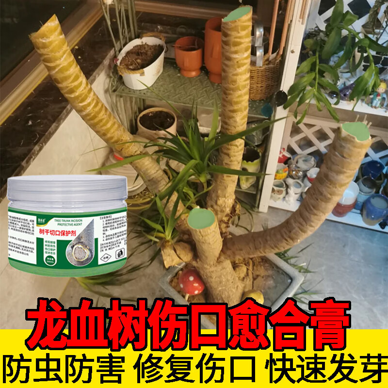 龙血树切口愈合剂花卉绿植树木人造树皮涂抹剂果树嫁接切口修复