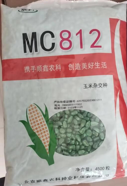 抗倒mc812抗锈双棒新品种高产量真抗病抗涝农科院玉米 mc812【4500粒