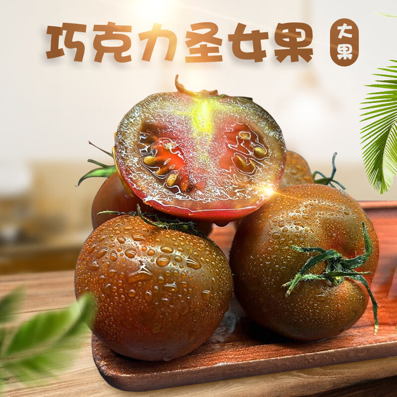 山东潍坊巧克力圣女果3/5斤新鲜小洋柿子农家水果千禧小西红 3斤净重