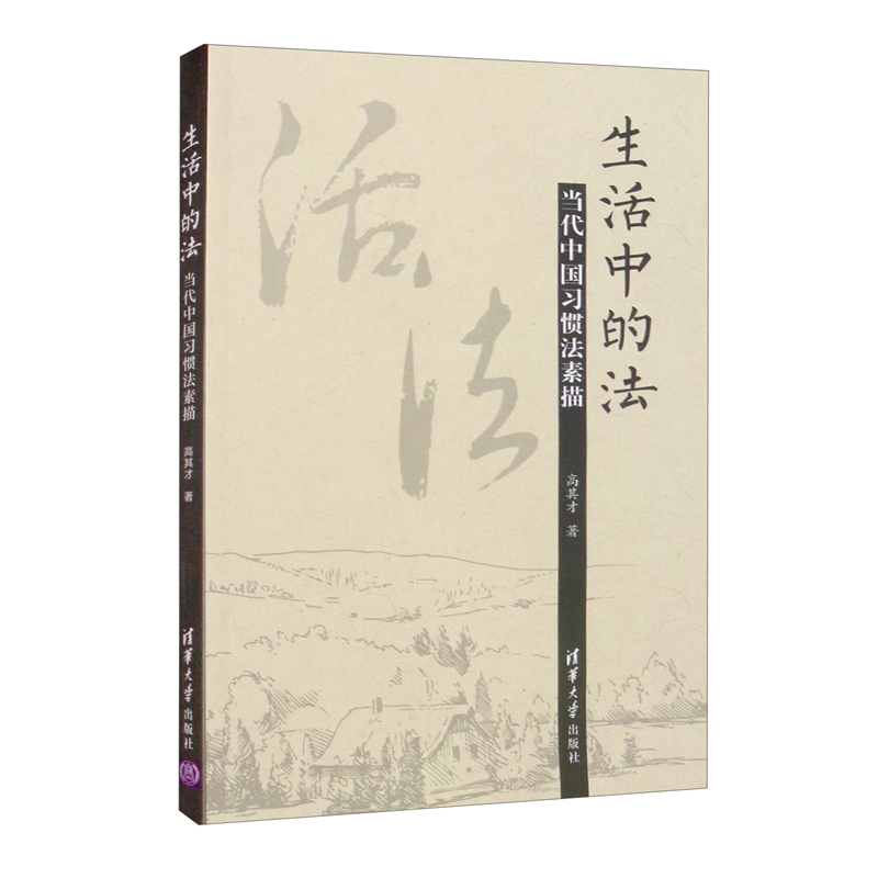 生活中的法：当代中国习惯法素描