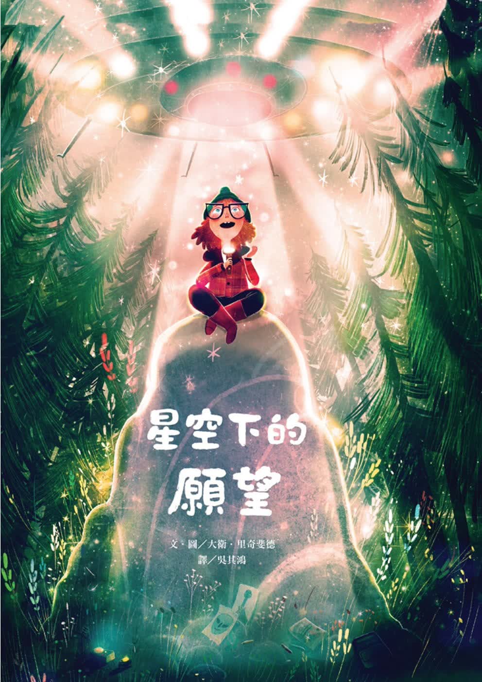 预售 戴维．里奇斐德 星空下的愿望 维京