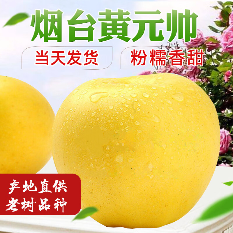 山东黄金帅刮泥沙苹果黄元帅金帅新鲜水果黄香蕉甜面5斤10斤 85mm(含)