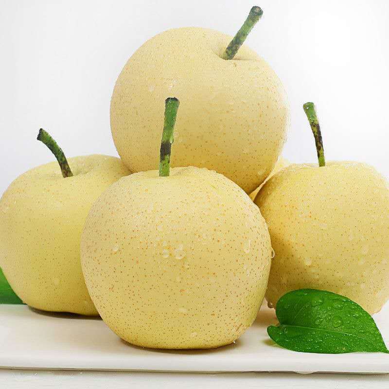 黄金梨脆甜多汁可口新鲜水果当季甜酥脆大薄皮3斤5斤10斤精选 5斤家庭