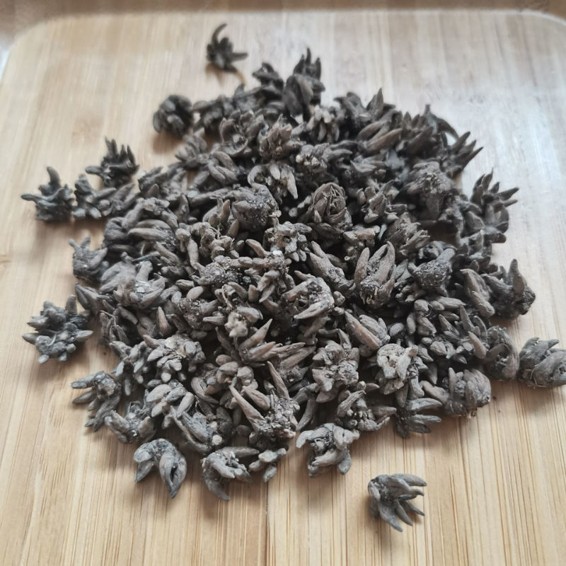 正宗云南猫爪草中草药材水洗新鲜干猫抓草胶囊配夏枯草 野生猫爪草250