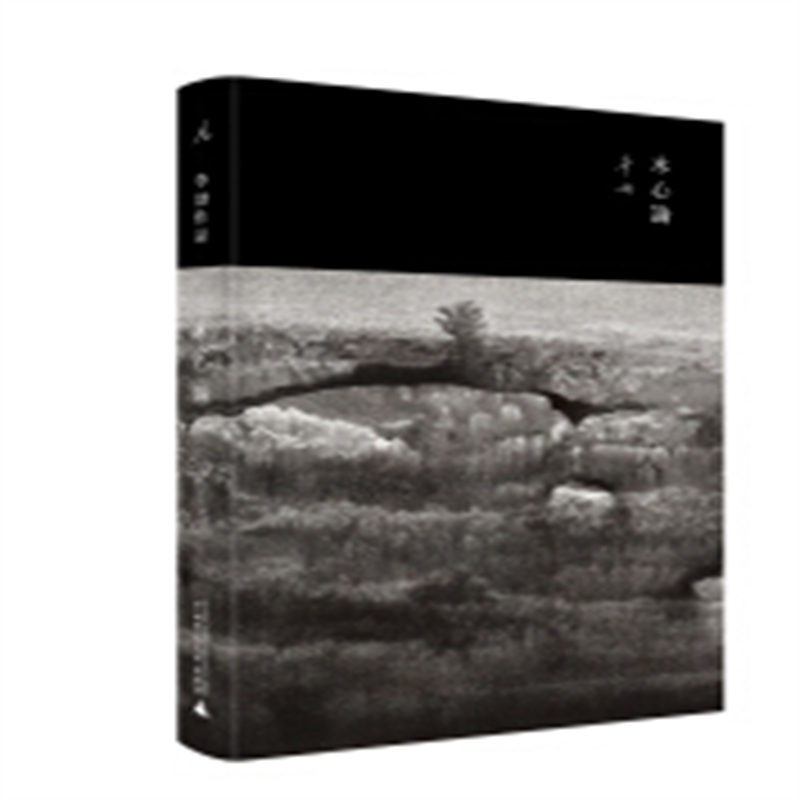 木心论:与孤鹜齐飞,共木心一色 李劼 著 广西师范大学出版社