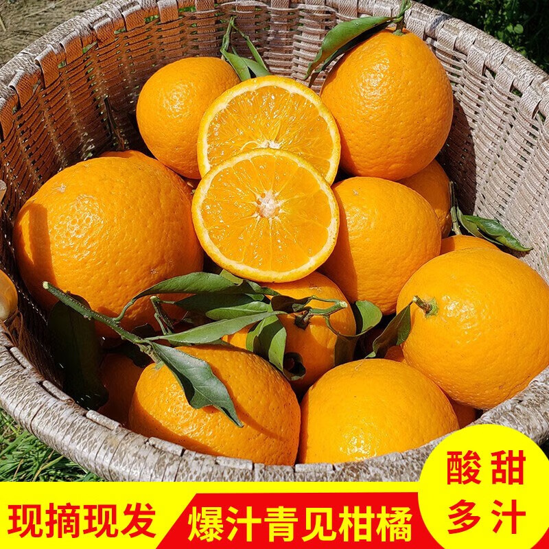 手机上怎么查桔橘京东历史价格|桔橘价格比较