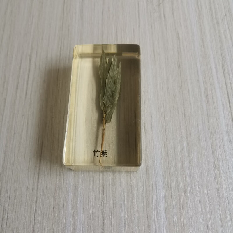 侨沁人工琥珀吊坠摆件树脂包埋昆虫植物标本枫叶中小学生物认知 竹叶1