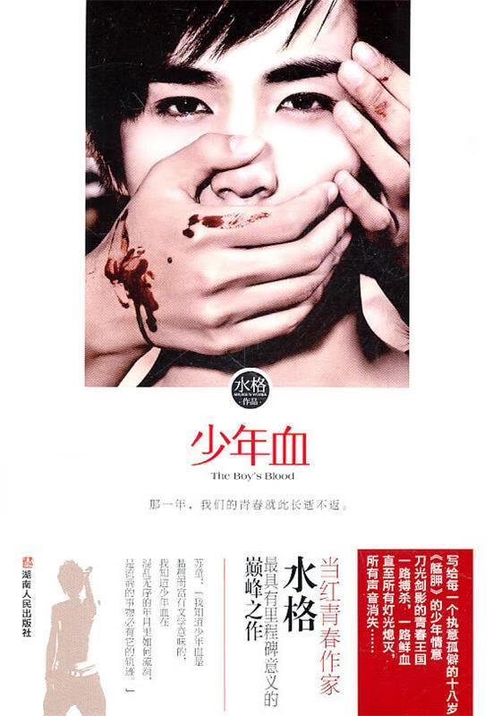 少年 水格著 湖南人民出版社 97875