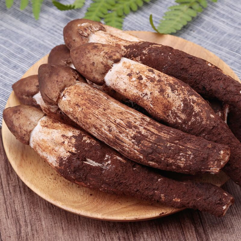 禾澹2024新鲜鸡枞菌野生火把鸡纵菌云南特产鸡肉菌伞把菇食用菌菇500g