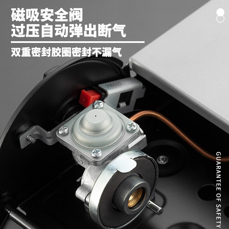 岩谷户外卡式炉卡磁炉瓦斯炉家用火锅炉具烧烤炉子野炊卡斯炉燃气灶 卡式炉+挡风板+4瓶气