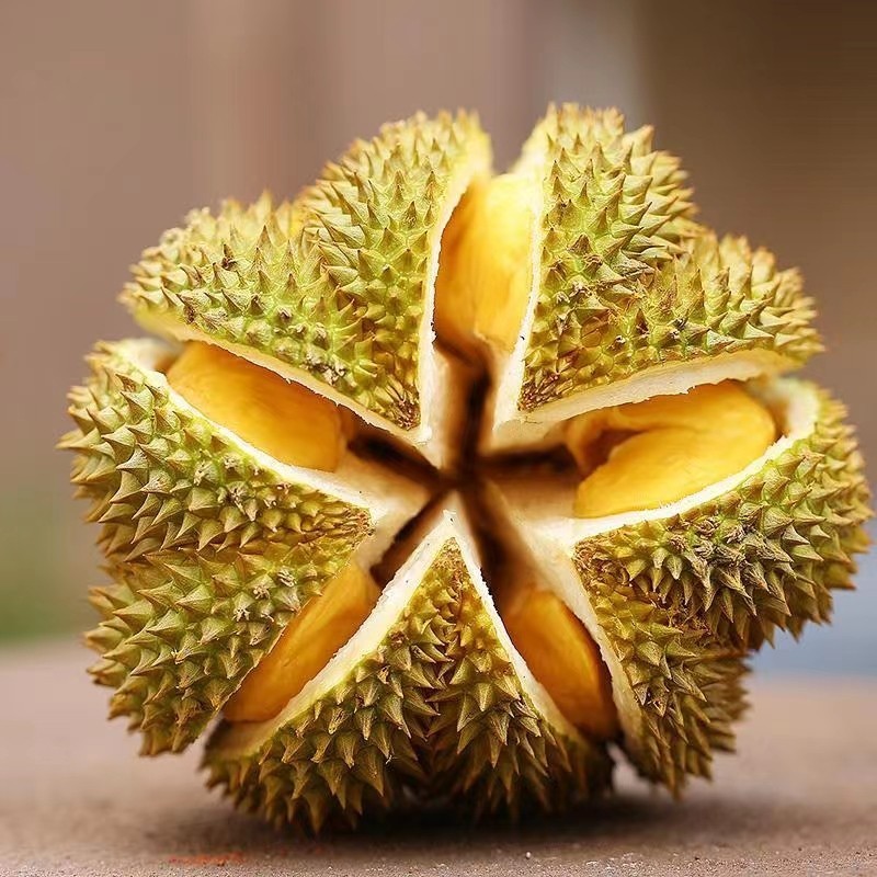 晨木鲜生 泰国进口金枕头榴莲水果 新鲜榴莲生鲜水果 巴掌榴莲 3-4斤榴莲