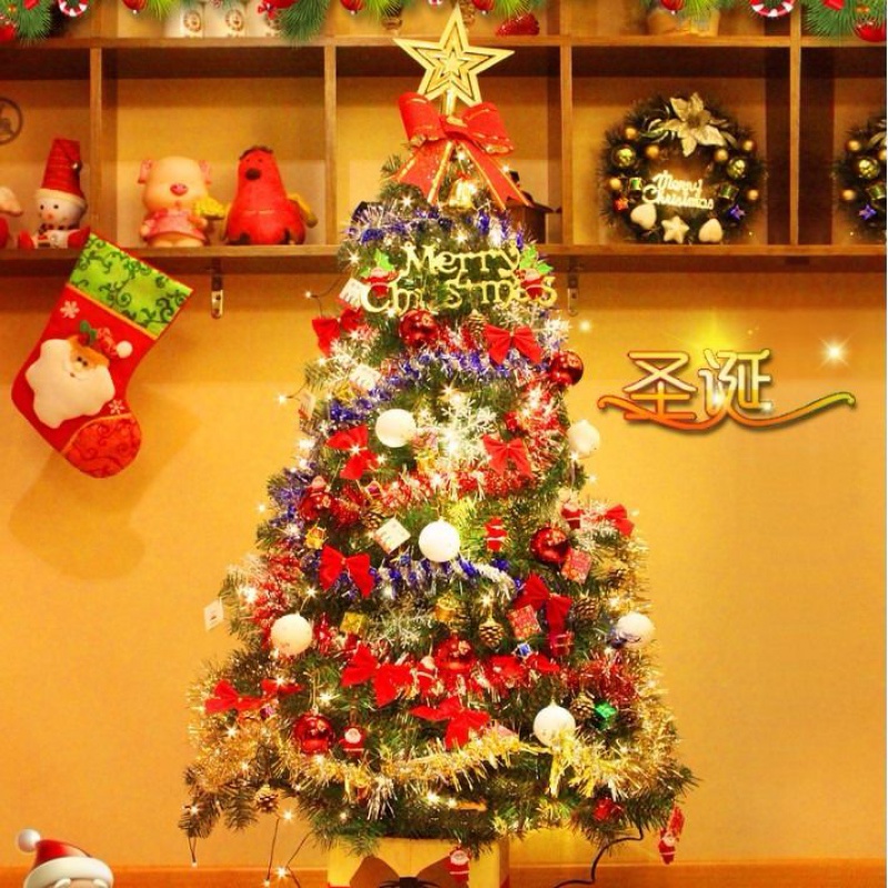切斯特（Qst）   BY加密圣诞树套餐装家用松针圣诞节装饰玩具 90厘米搭配40个装饰品左右 带灯
