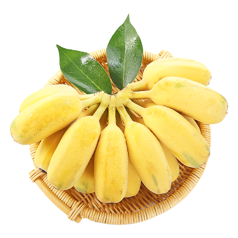正宗苹果蕉小香蕉新鲜水果小米蕉芭蕉国产整箱生鲜当季苹果粉蕉3斤