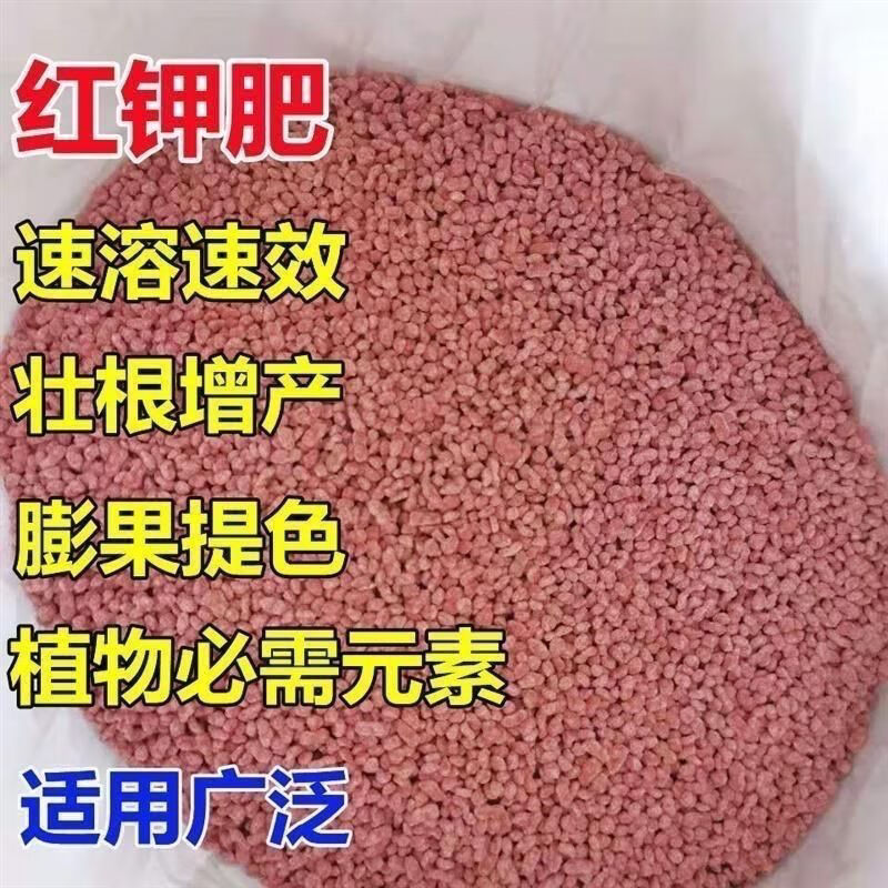 钾肥批发俄罗斯进口高钾高效肥料农用花卉果树蔬菜通用速溶肥料 红色颗粒钾肥10斤装 俄罗斯进口红钾(分包)怎么样,好用不?