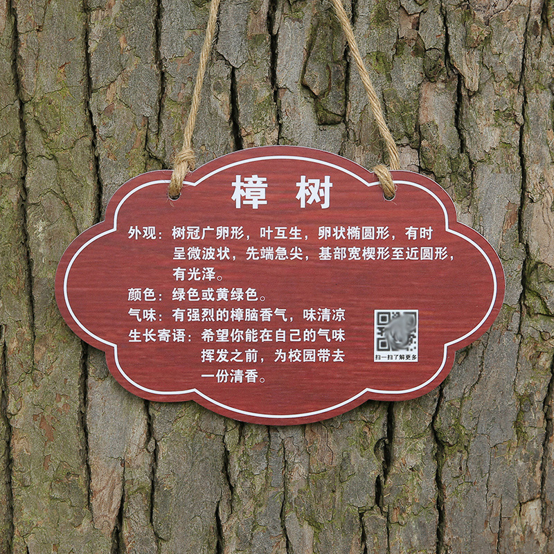 挂牌树木认养介绍标识提示牌设计学校公园园林果树绿化信息仿木纹悬