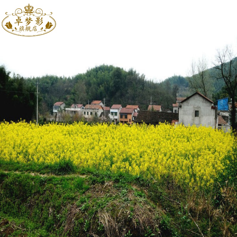 直播背景图主播直播背景布抖音快手拍视频农村外景背景布田地麦田背景