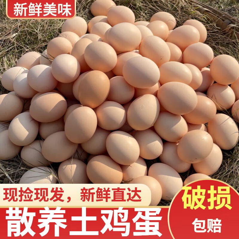 我老家正宗土雞蛋農家散養新鮮農村自養草雞蛋柴雞蛋五谷雜糧蟲(chóng)草蛋 10枚