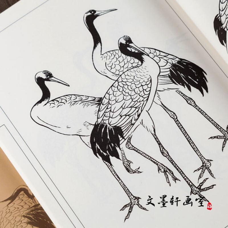 中国画线描 百鹤画谱 邓文欣 工笔白描仙鹤画谱图集