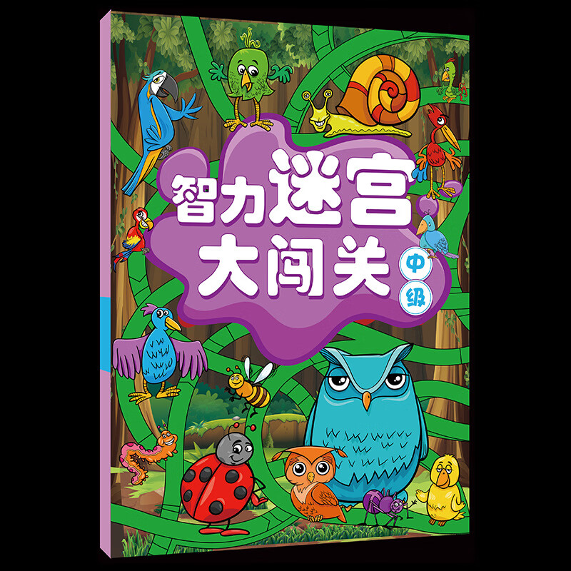 【严选】智力迷宫大闯关初级+中级+（共3册）迷宫书3~10岁初中级思维 三册套装