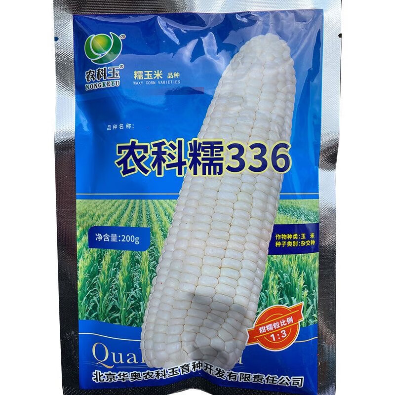 麦基乐农科糯336白糯玉米种子香甜软糯包谷早熟丰产基地大田蔬菜种籽
