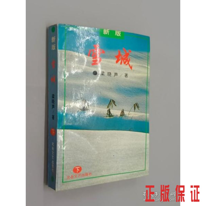保证正版 可开发票！！雪城:新版.下