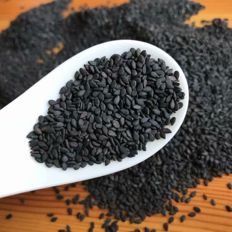 以琛黑芝麻种子白芝麻籽 农田菜园高产油抗倒春夏季矮脚四棱芝麻种子