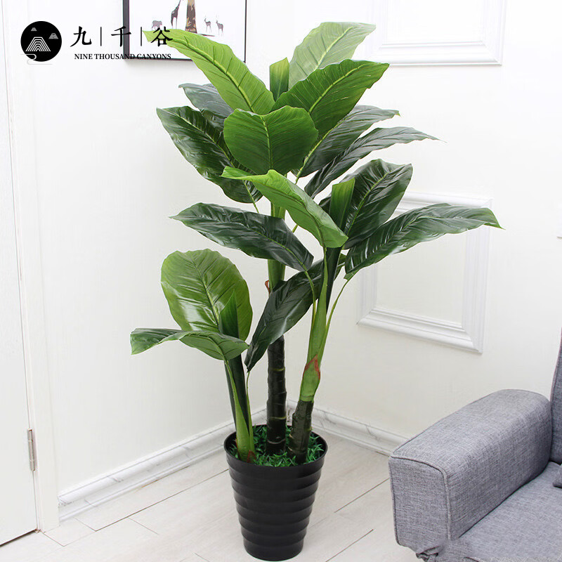 5米三杆合家欢带盆草9669