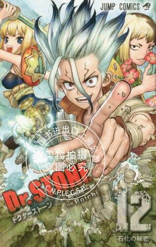 现货 进口日文 漫画 石纪元 Dr.STONE 12