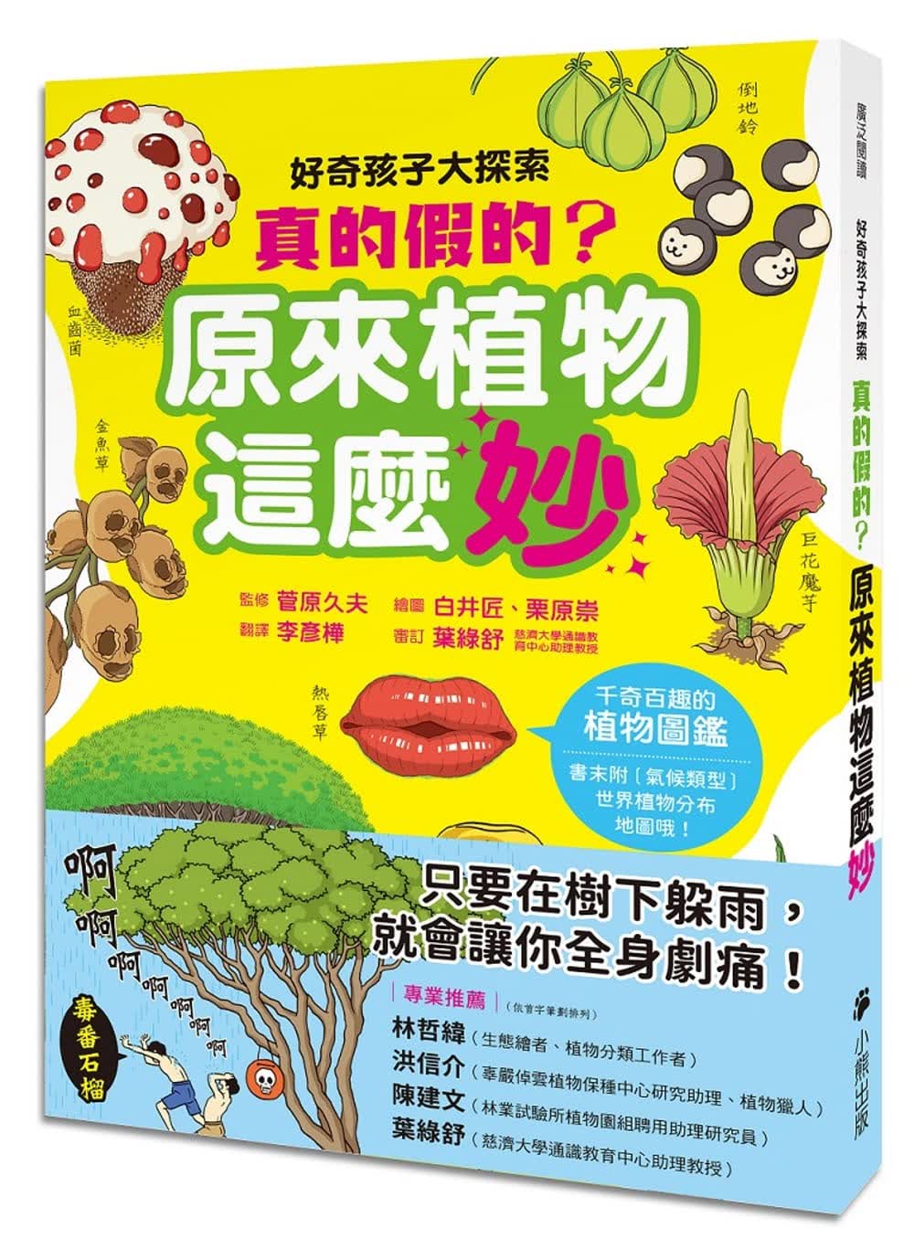 预售 李彦桦 好奇孩子大探索：真的假的？原来植物这么妙 小熊出版