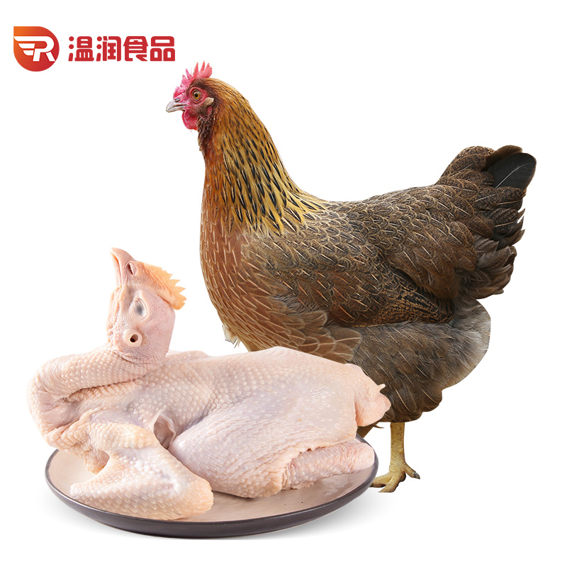 新鲜美味的温润食品鸡肉,价格走势情况一览