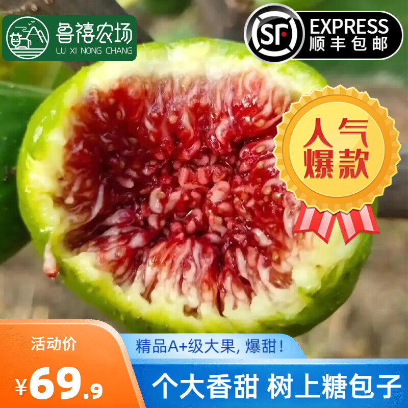 鲁禧山东威海青皮无花果鲜果 当季现摘秋果 精选特级大果时令孕妇水果 个大饱满3斤装（2.5斤）怎么看?