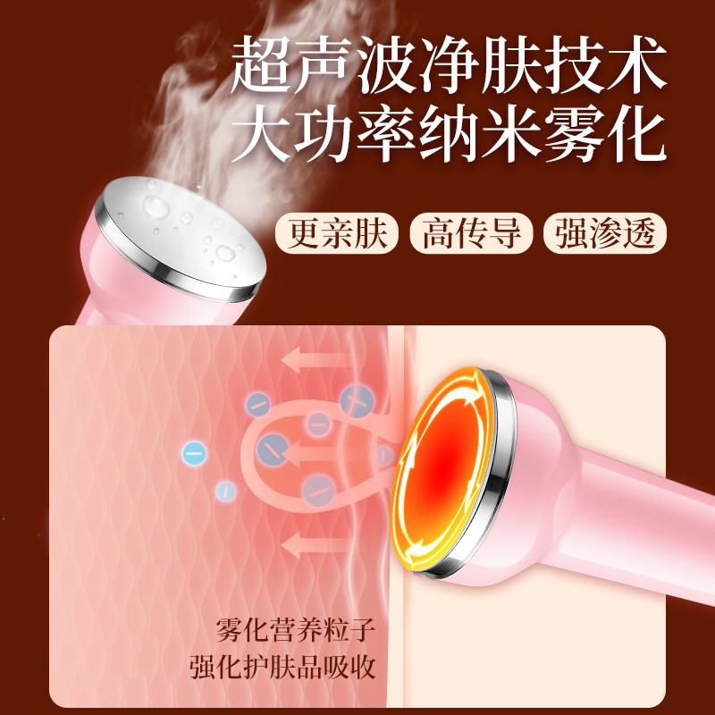 VLVEE超声波美容仪导出导入仪美容院专用仪器面部提拉紧致脸部按摩注氧补水仪毛孔清洁家用 【优雅白/美容院高配豪华款】声波导入导出+高压注氧