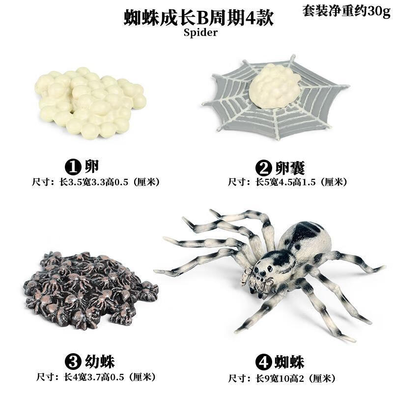 【万圣节】仿真蜘蛛玩具万圣节道具恐怖大黑蜘蛛模型儿童认知科普玩具