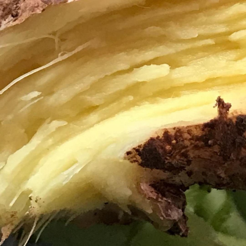 【精选】新鲜云南老姜生姜山地月子姜香辣多丝调味0.5-5斤装 老姜半斤