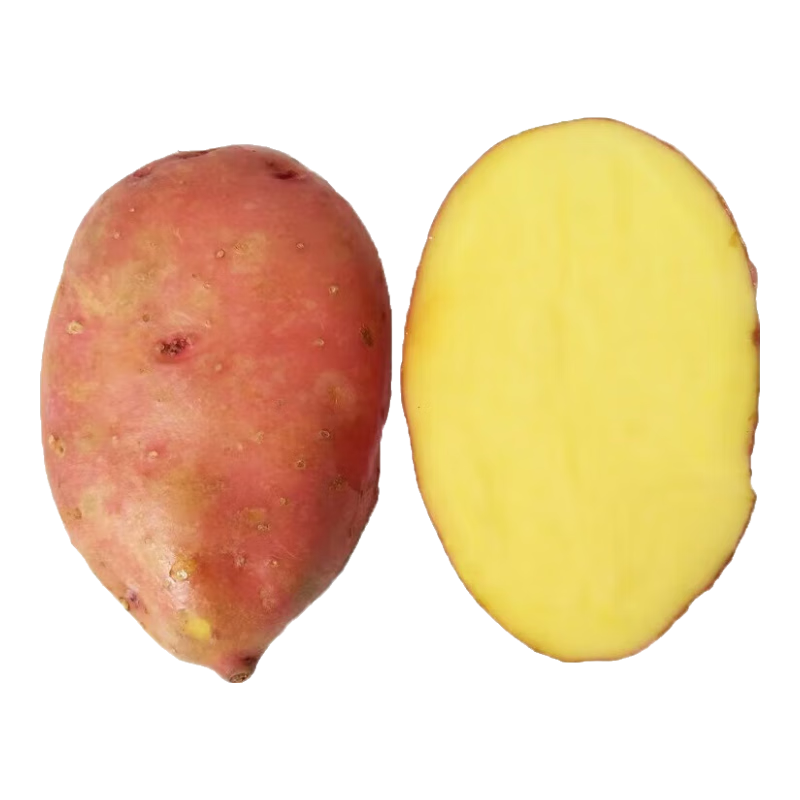 ������ˡ����Ϻ�Ƥ������ԭ�������������������ʺ�Ƥ�������� ���Ϻ�Ƥ���� ��� ����1-3��