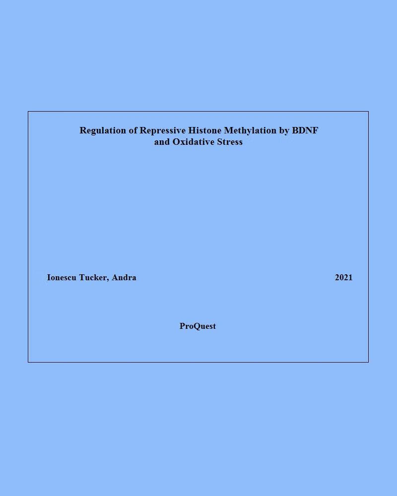 预订 国外英文学位论文regulation of repressive histone