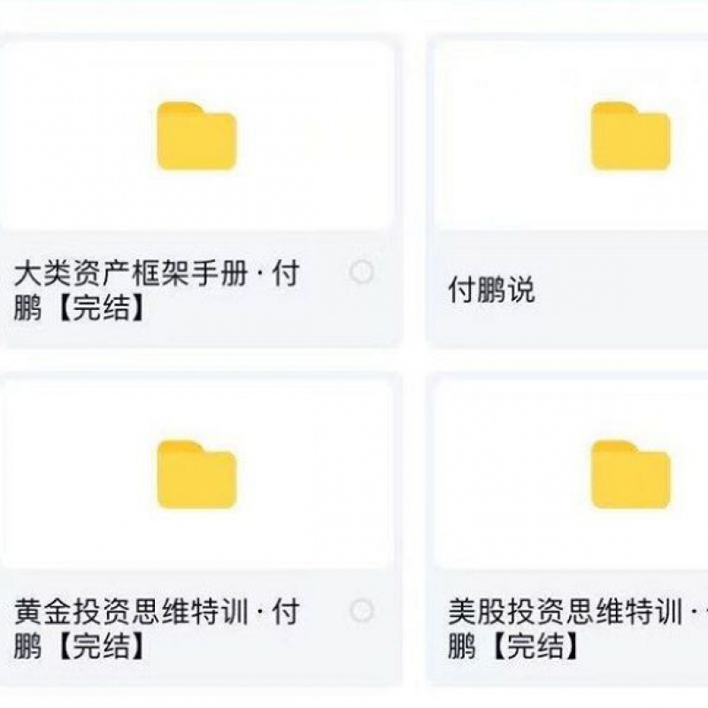 付鹏大师课程华尔街投资理财资产配置黄金美股投资思维全套培训视 4个