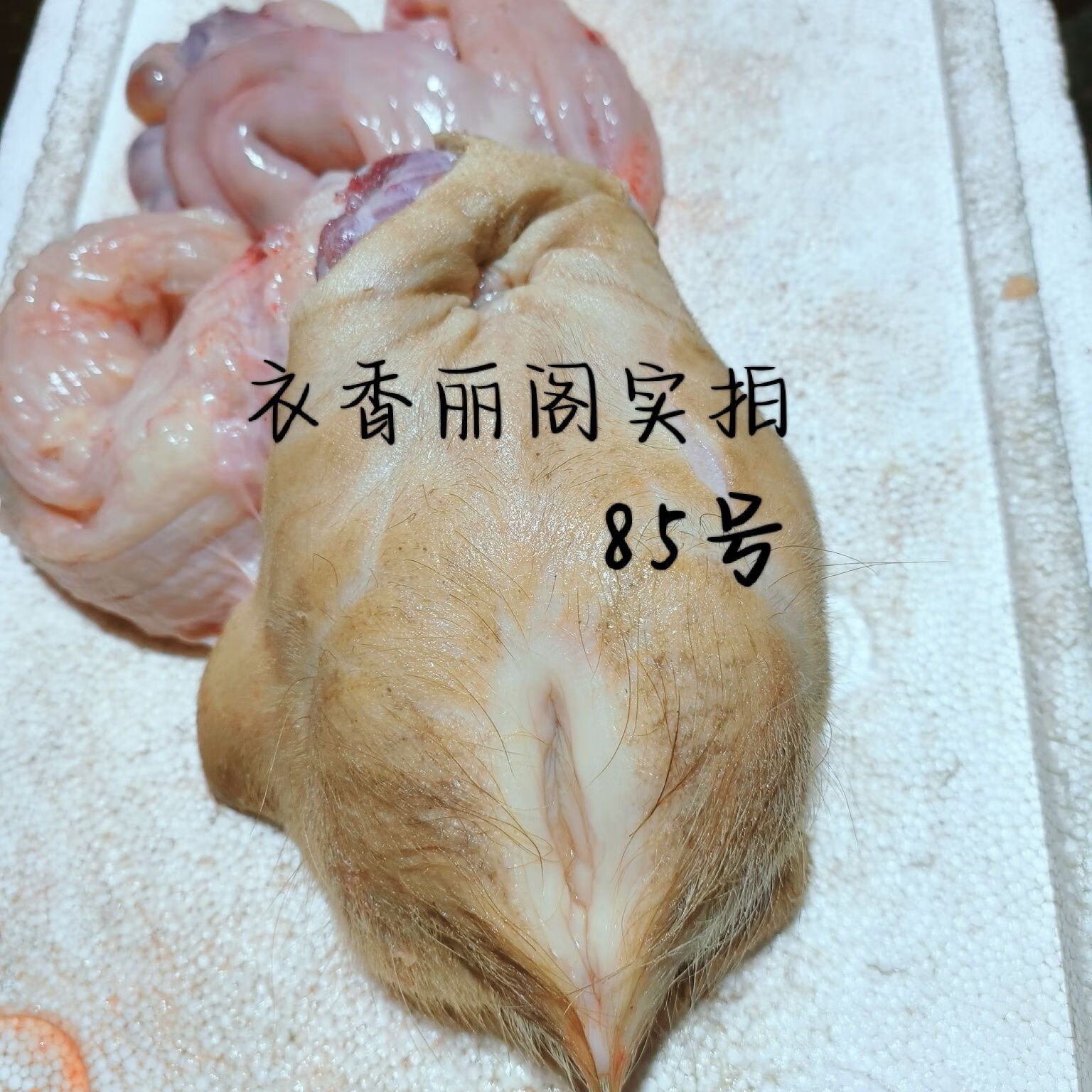 小黄牛现宰牛欢喜母牛生殖系统食用牛房子小炒火锅食材实物 3斤整套特