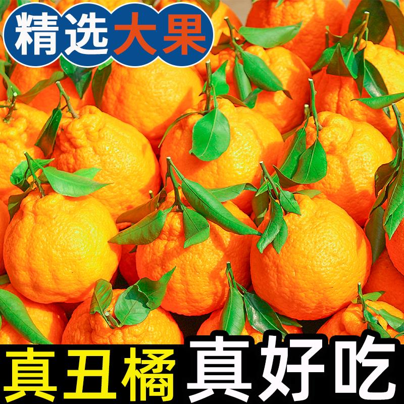 橘水果丑八怪桔子柑时令应当季水果送礼品物盒圣诞节 9斤装【很划算】