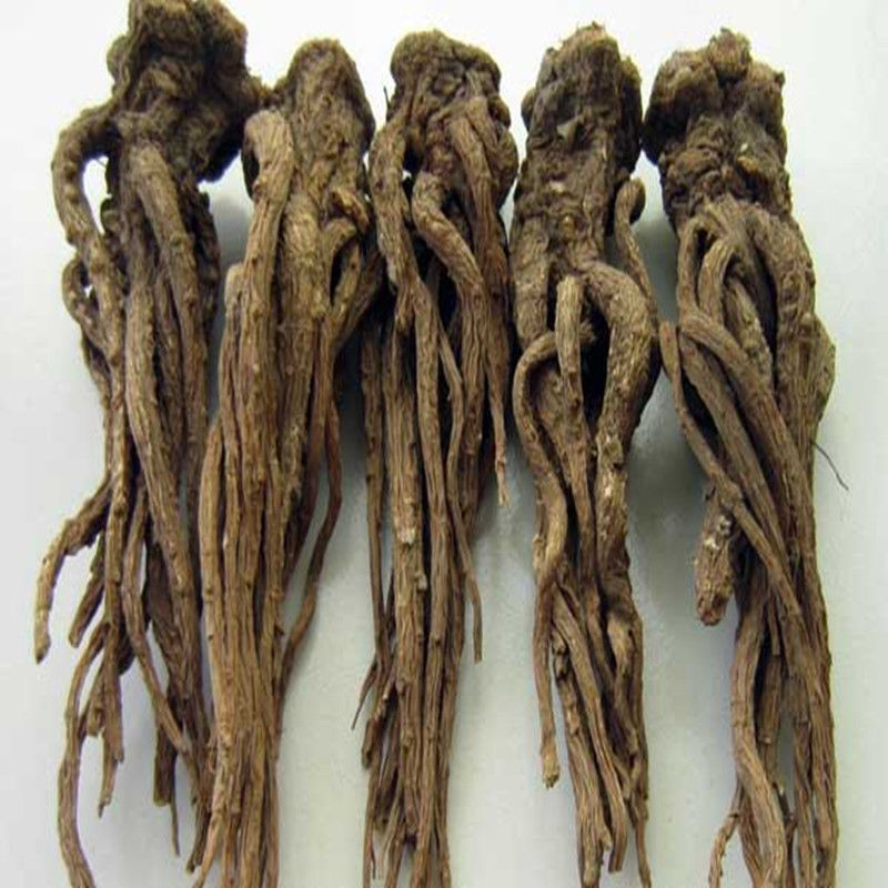 Minxian Wild Whole Root Angelica 500g