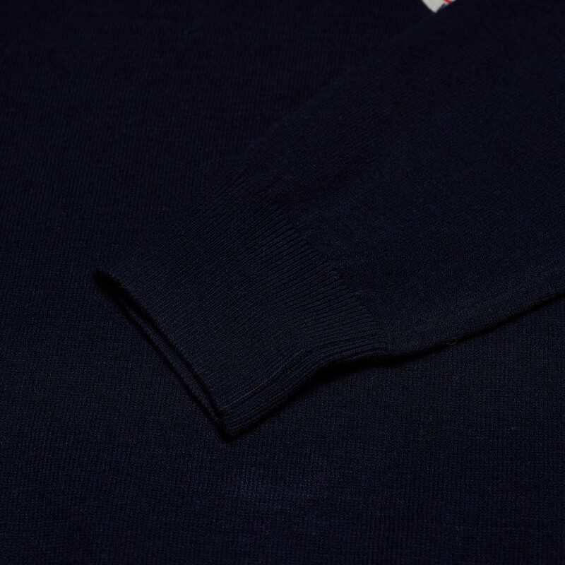 保罗·彼得专柜同款 秋季新款舒适休闲百搭日常男士毛衫MFCD34351 藏青色 常规 L (175)