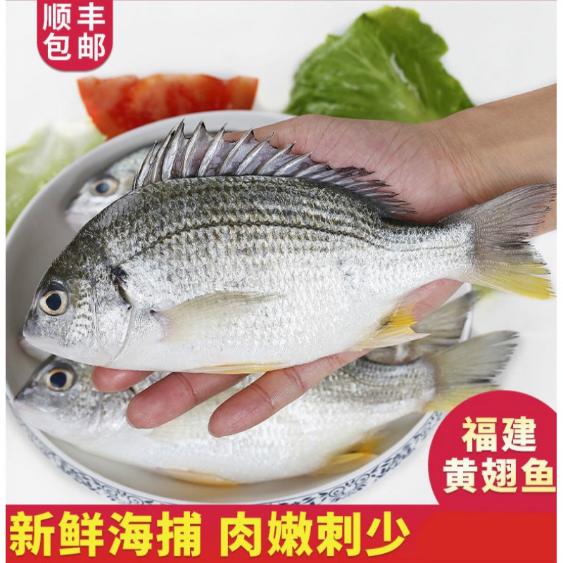 黄鲷鱼 相关京东优惠商品排行榜 价格图片品牌优惠券 虎窝购 黄鲷鱼 相关京东优惠商品排行榜 价格图片品牌优惠券 虎窝购