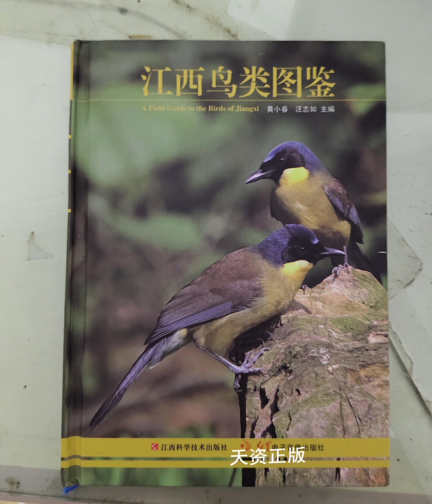 【二手9成新】江西鸟类图鉴 黄小春 江西科学技术出版社