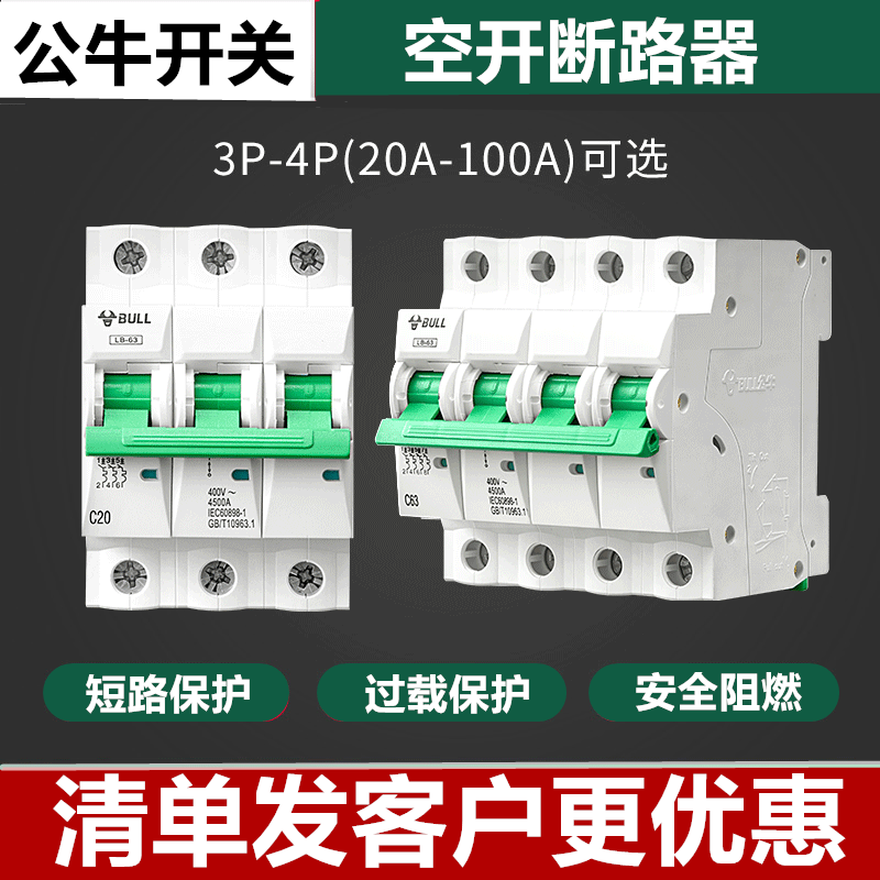仁聚益空气100a总开2p跳闸小型断路器电闸家用两相电空开保护器 10a